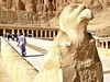 Hatšepsut 5 - lodí po Nilu s pobytem u moře - Marsa Alam #5